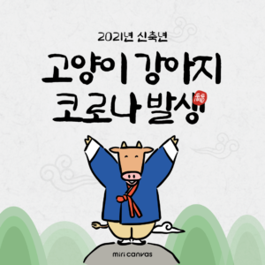 고양이 강아지 코로나 발생