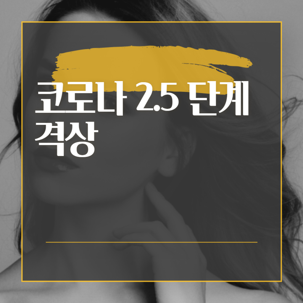 사회적 거리두기 2.5 단계 사회적 거리두기 2.5 단계