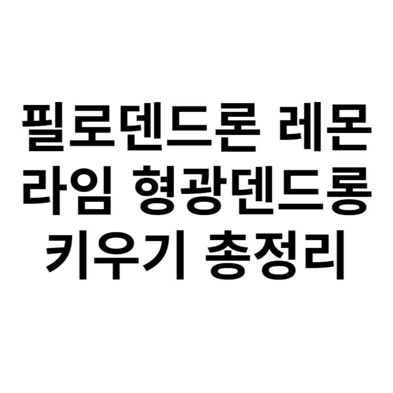 필로덴드론 레몬라임 형광덴드롱 키우기 총정리