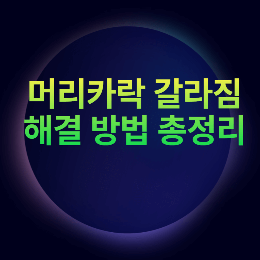 머리카락 갈라짐 해결 방법 총정리 머리카락 갈라짐 해결 방법 총정리