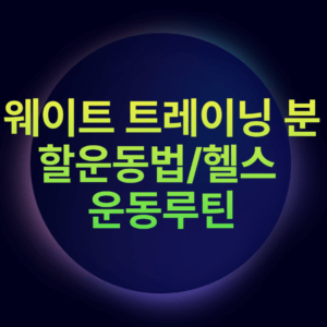 웨이트 트레이닝 분할운동법/헬스 운동루틴