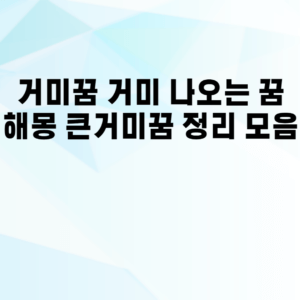 거미꿈 거미 나오는 꿈 해몽 큰거미꿈 정리 모음