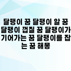 달팽이 꿈 달팽이 알 꿈 달팽이 껍질 꿈 달팽이가 기어가는 꿈 달팽이를 잡는 꿈 해몽