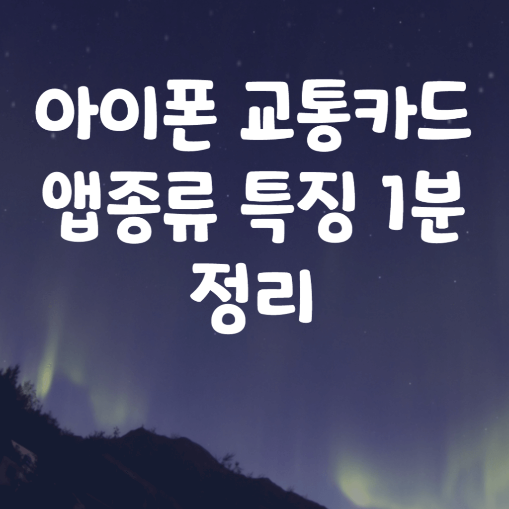 아이폰 교통카드 앱종류 특징 1분정리 아이폰 교통카드 앱종류 특징 1분정리