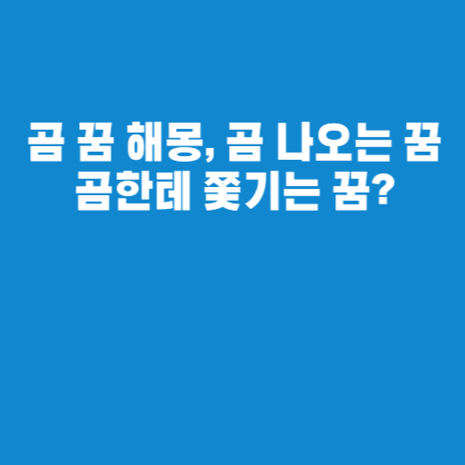 곰 꿈 해몽, 곰 나오는 꿈 곰한테 쫓기는 꿈?