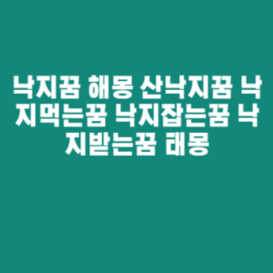 낙지꿈 해몽 산낙지꿈 낙지먹는꿈 낙지잡는꿈 낙지받는꿈 태몽