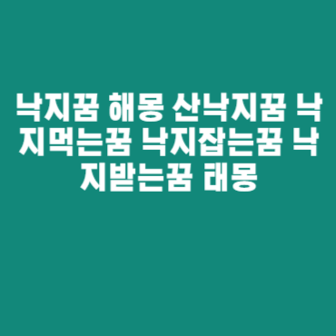 낙지꿈 해몽 산낙지꿈 낙지먹는꿈 낙지잡는꿈 낙지받는꿈 태몽