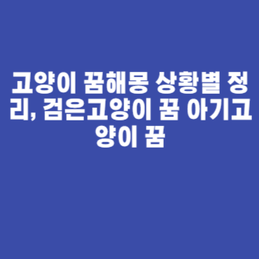 하얀새끼고양이 노란고양이꿈 꿈해몽 비밀? 큰고양이꿈해몽